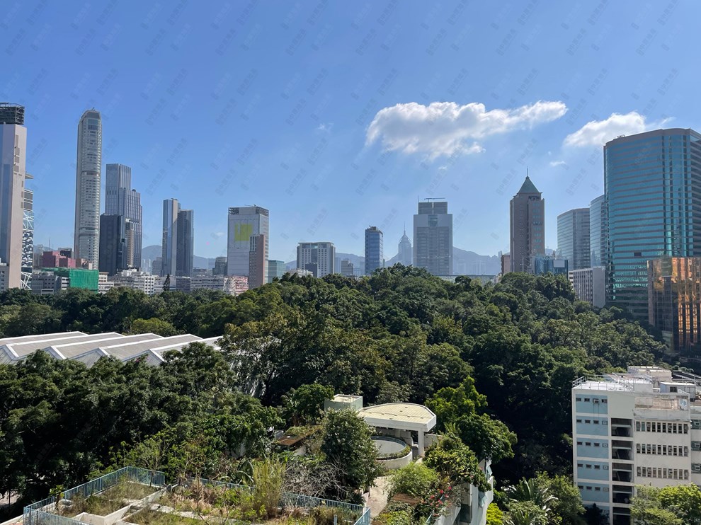 窗外景觀-園景