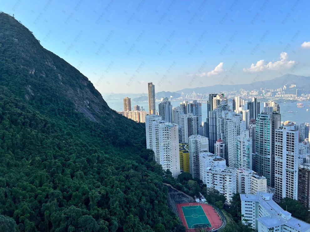 窗外景观-由客厅