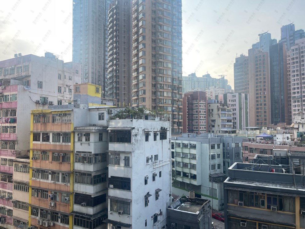 窗外景觀-由露台