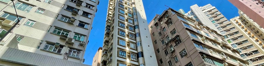 启荫阁, 相片