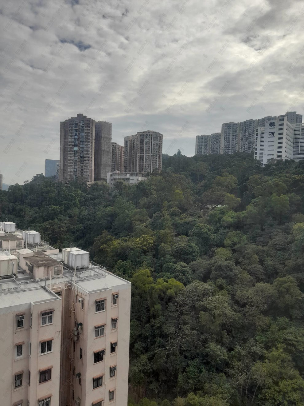 Outside View-From Living Room