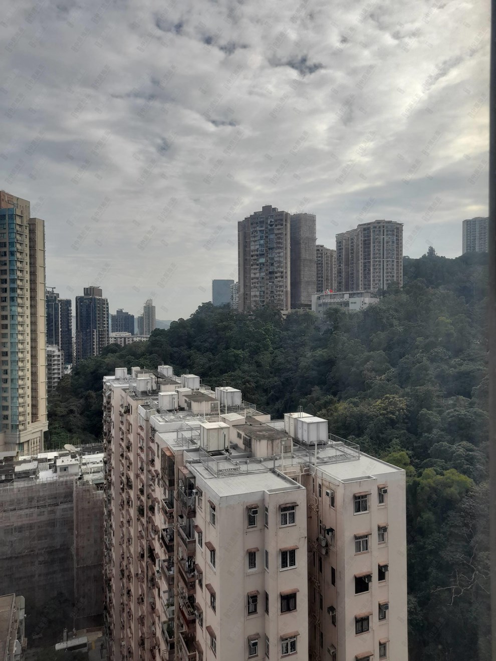 Outside View-Mountain View