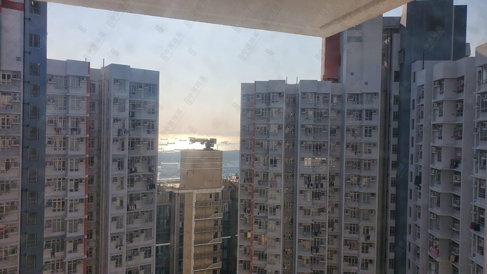 Outside View-From Living Room