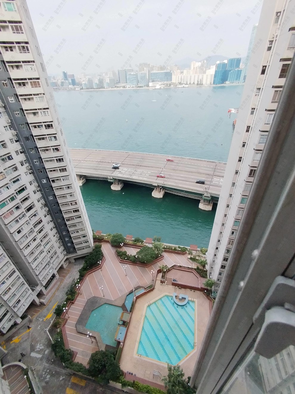 窗外景观-池景