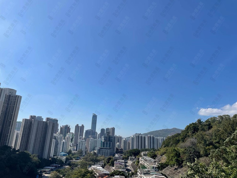 窗外景觀-由露台