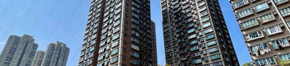 外觀
