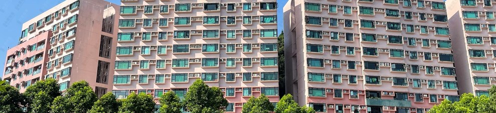 外觀