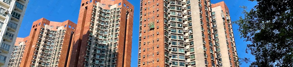 外觀