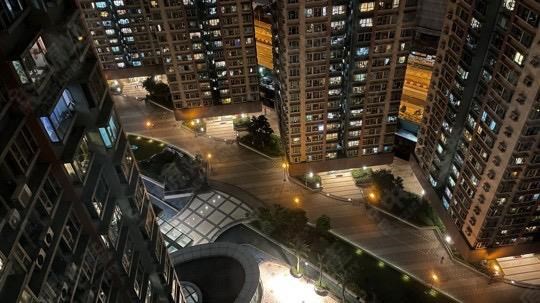窗外景观-由客厅