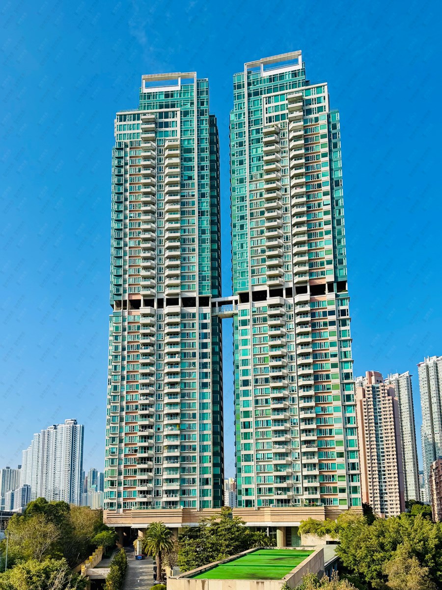 君汇港 1座, 相片