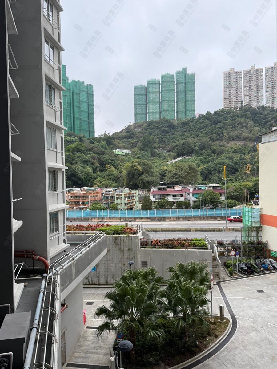 旭禾苑, 相片