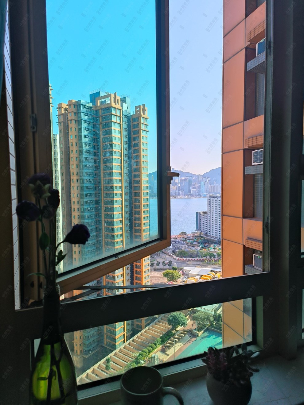 窗外景观-由客厅