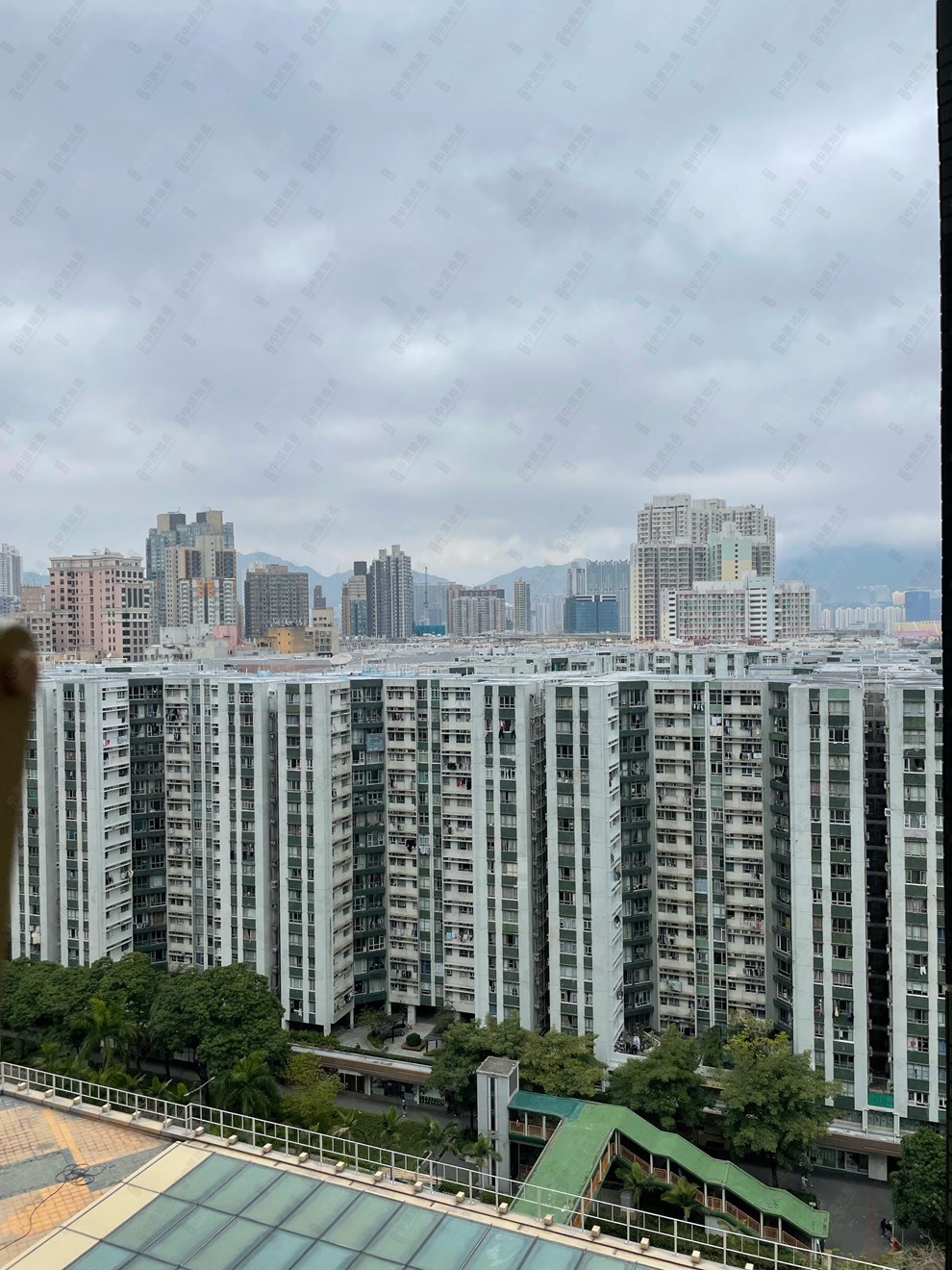 窗外景观-由客厅
