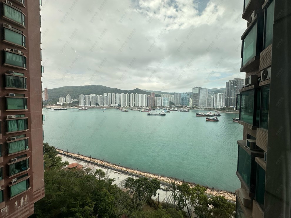 窗外景观-由客厅