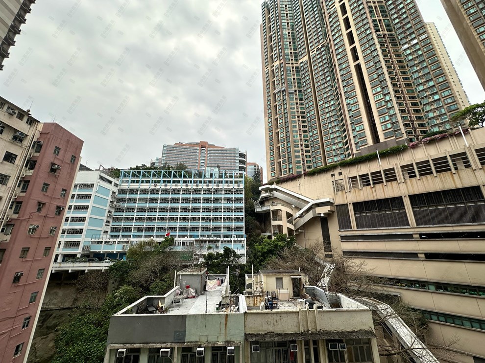 窗外景觀-由露台