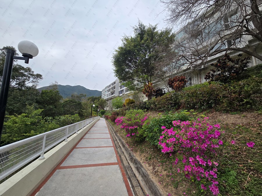 文礼苑, 相片