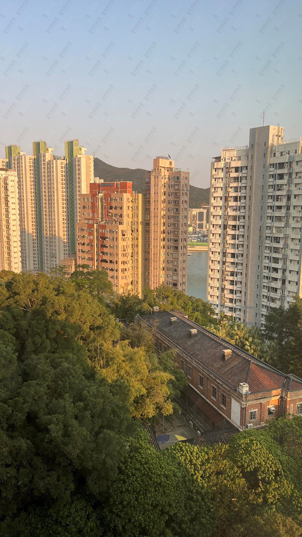 窗外景觀-由客廳