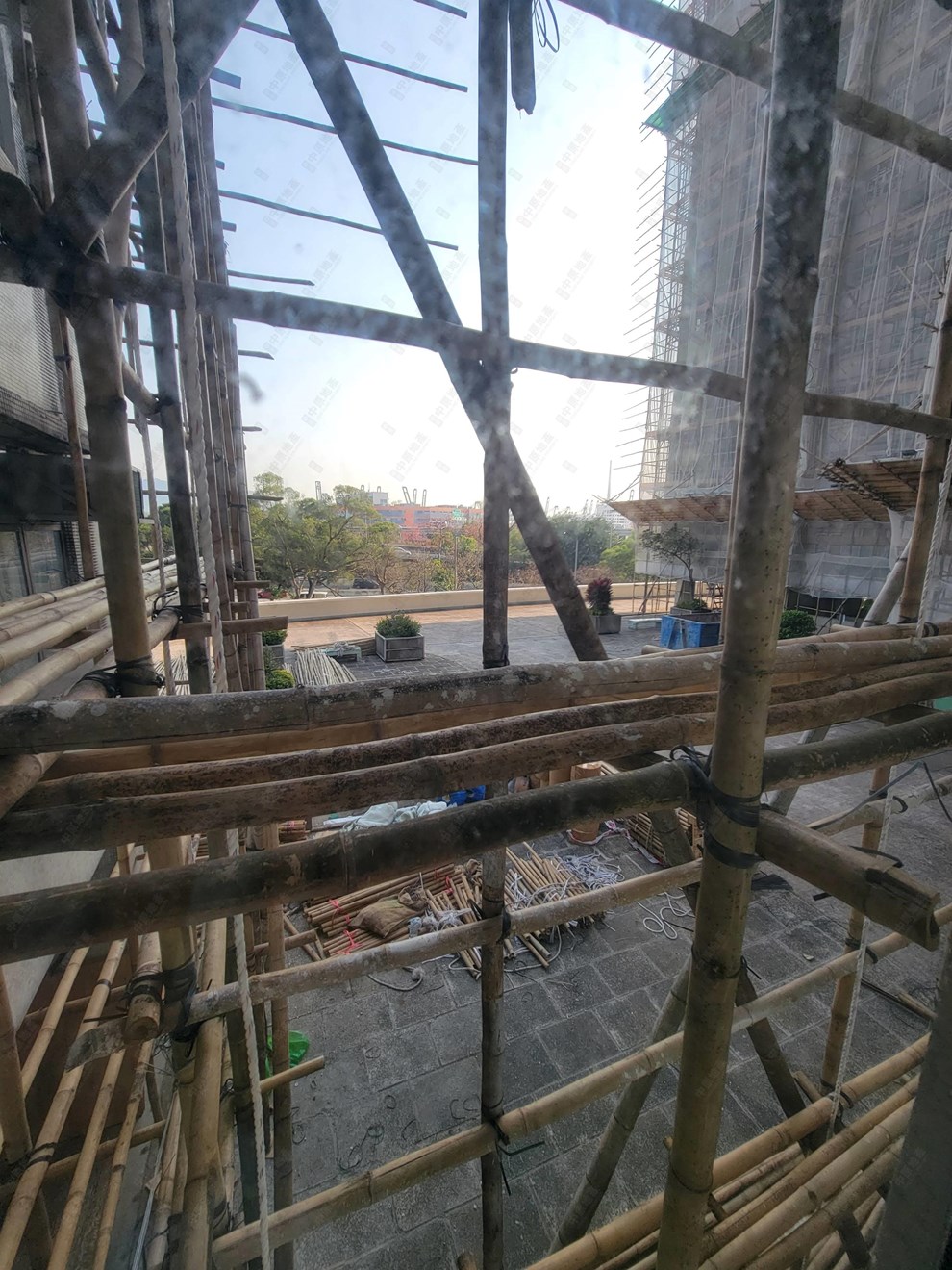 窗外景觀-由飯廳