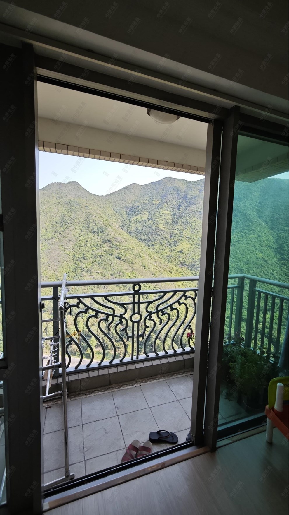 窗外景观-由客厅
