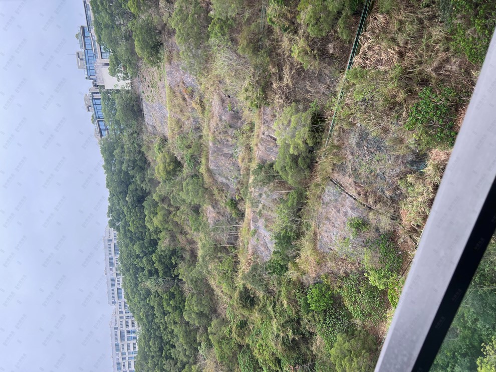 Nearby Environment-Nearby View