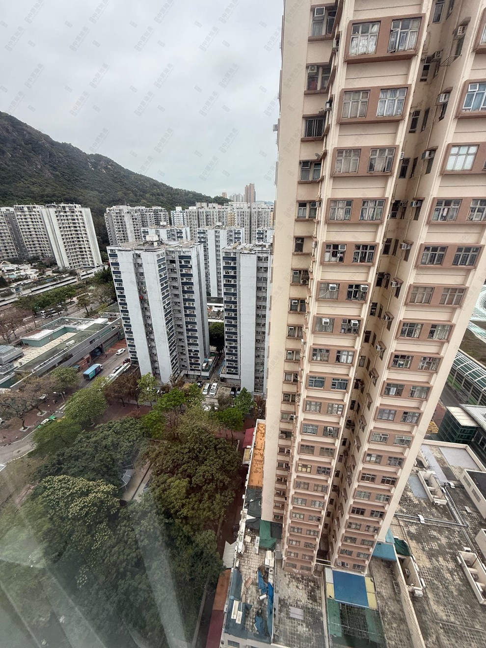 Outside View-From Living Room