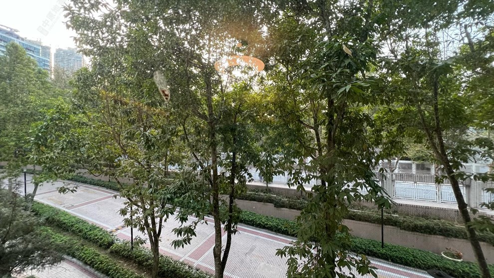 Outside View-From Living Room