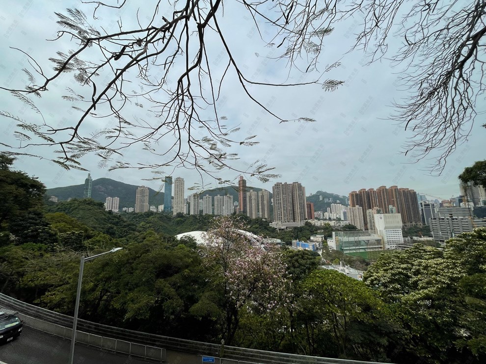 Outside View-From Dining Room