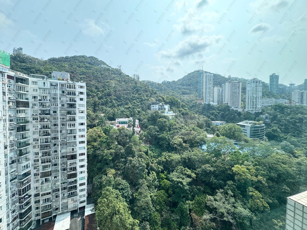 窗外景观-由客厅