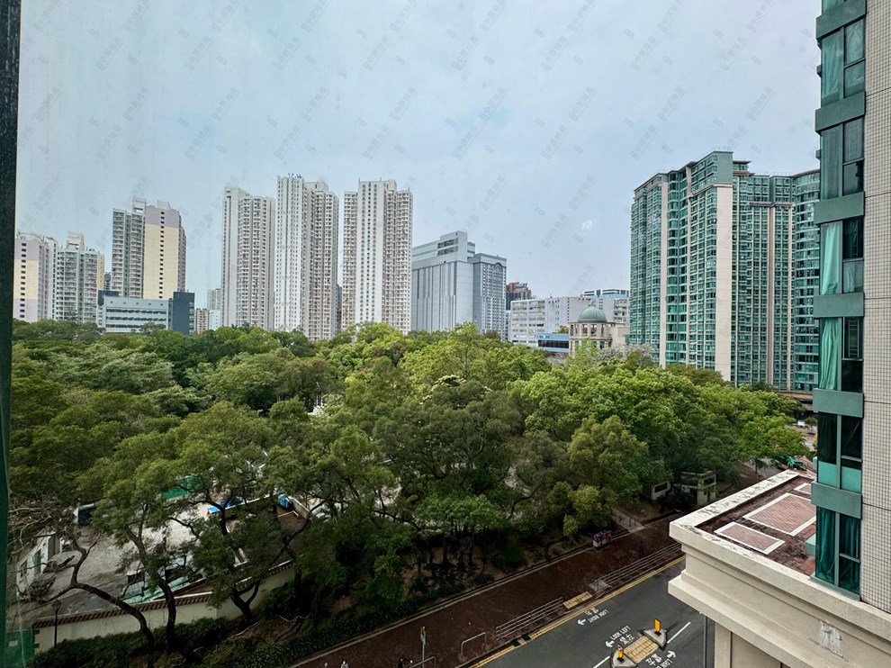 窗外景觀-由客廳