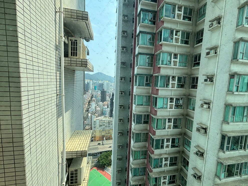 窗外景觀-由客廳