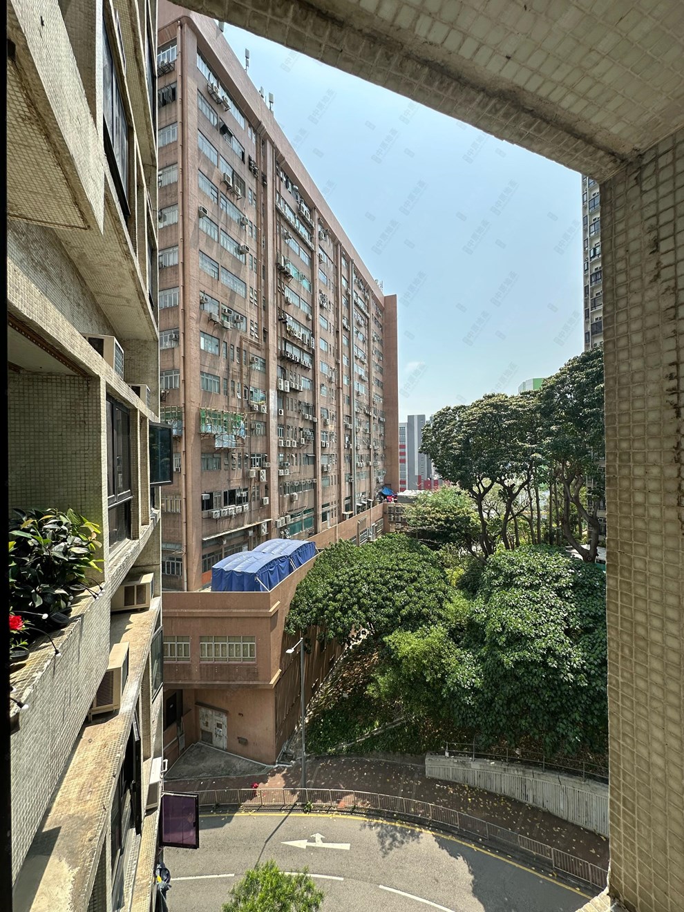 單位內部-客廳