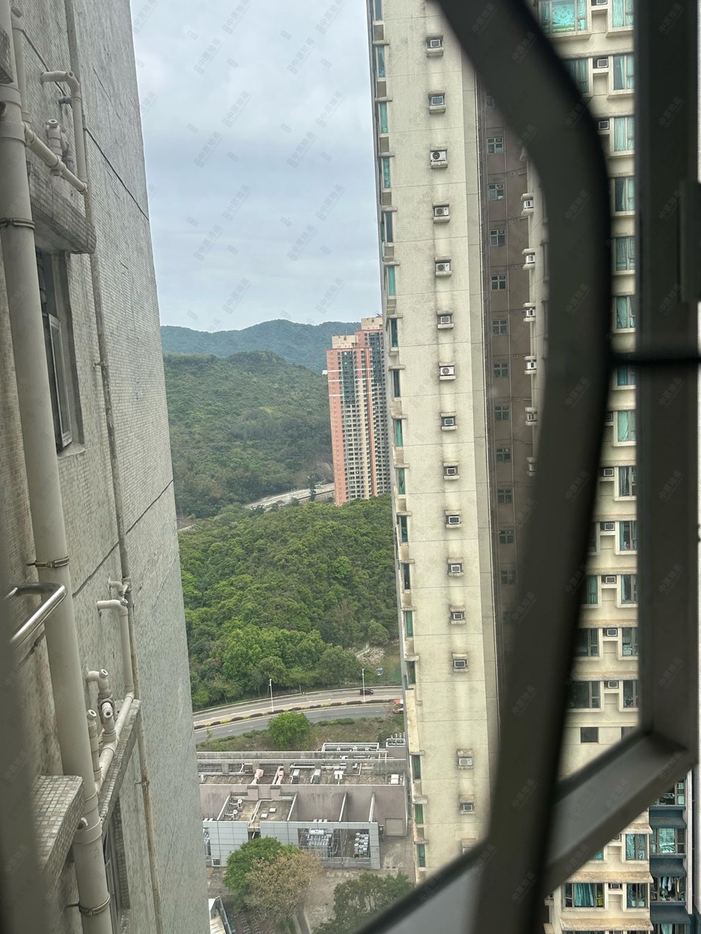 窗外景觀-由客廳