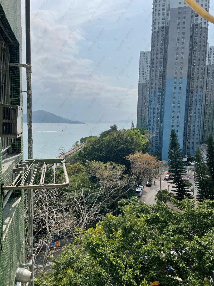 华贵邨 华礼楼 (1座), 相片