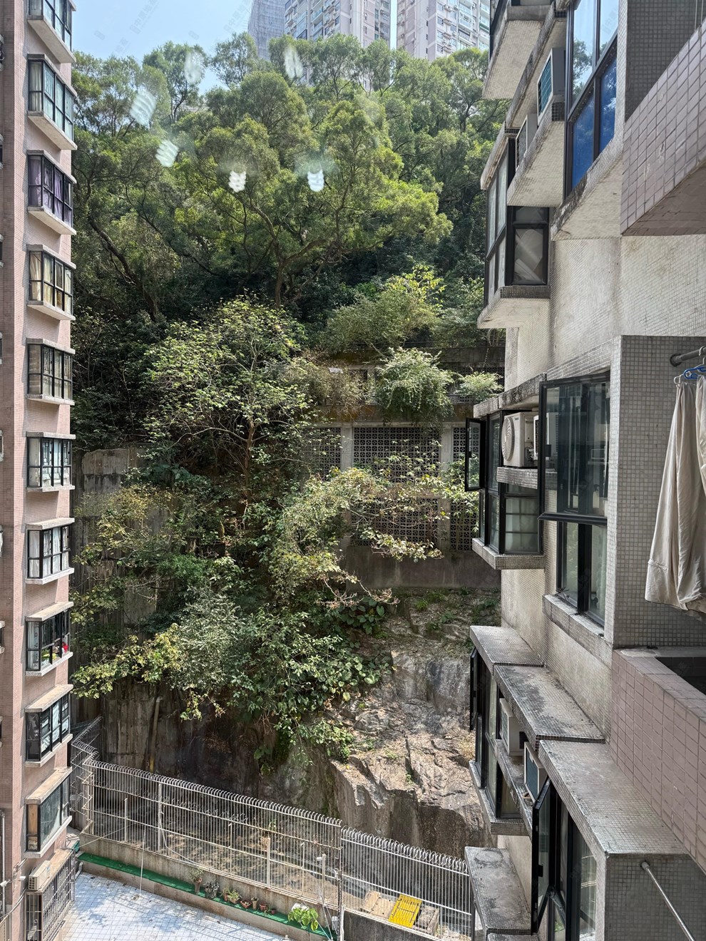 窗外景觀-由客廳