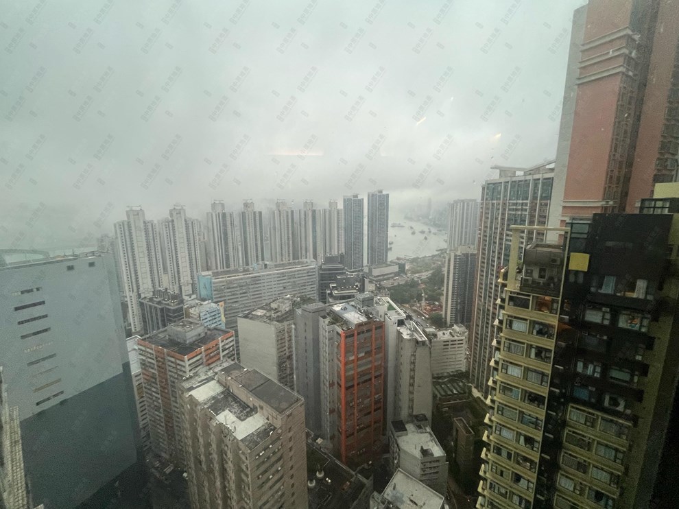 窗外景觀-由客廳