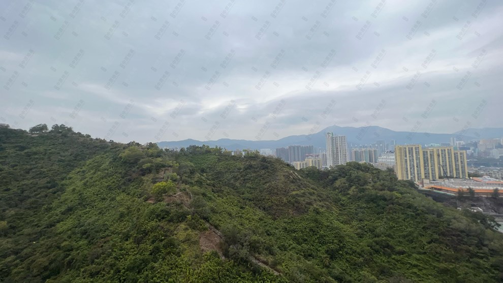 窗外景觀-由露台