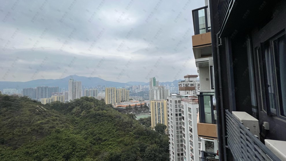 窗外景觀-由露台