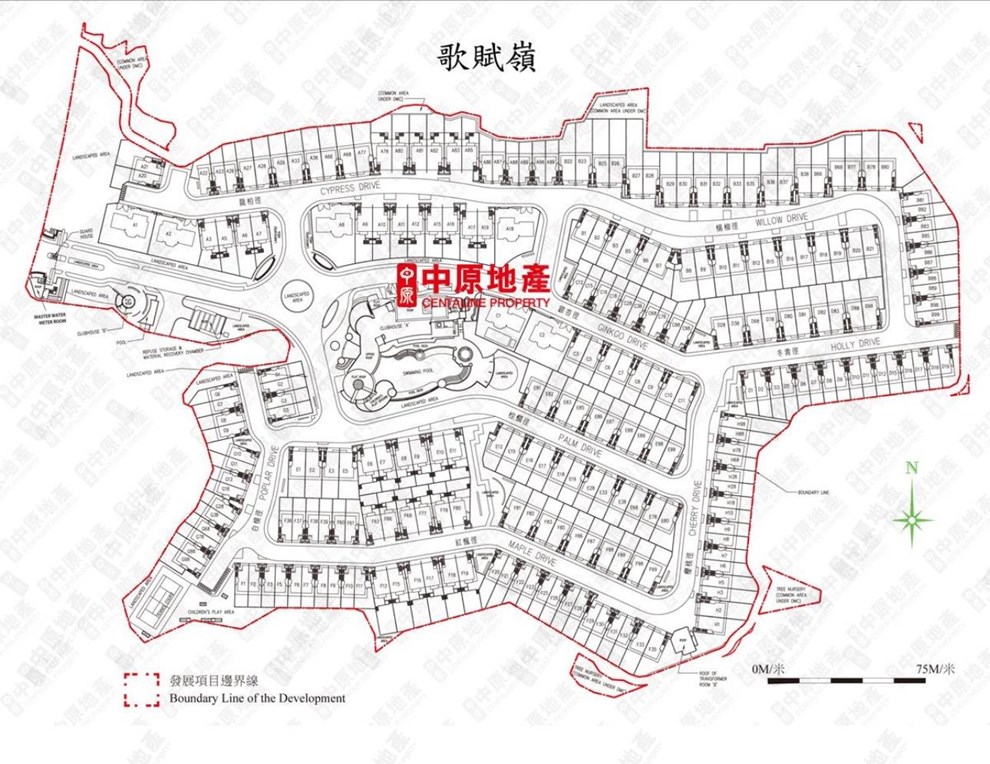 外觀
