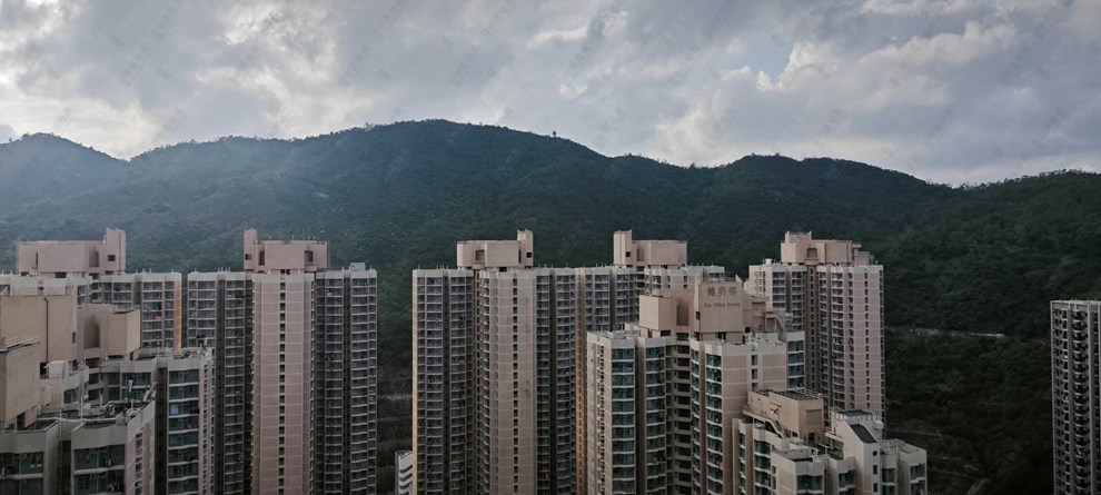 窗外景觀-由露台