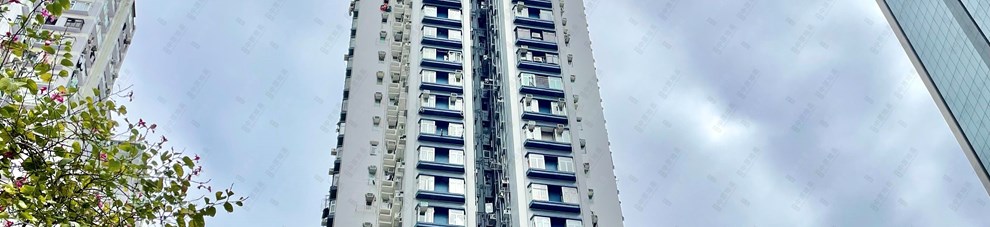 外觀