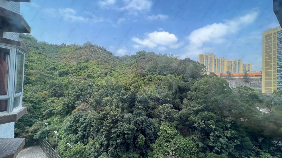 窗外景觀-由客廳
