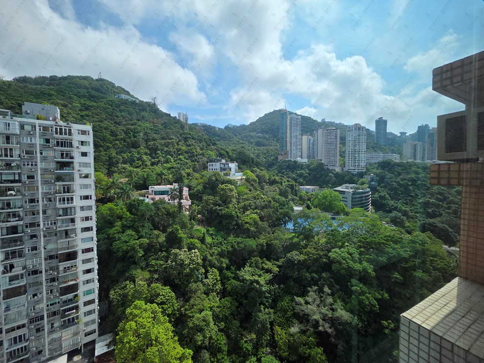 窗外景观-由客厅