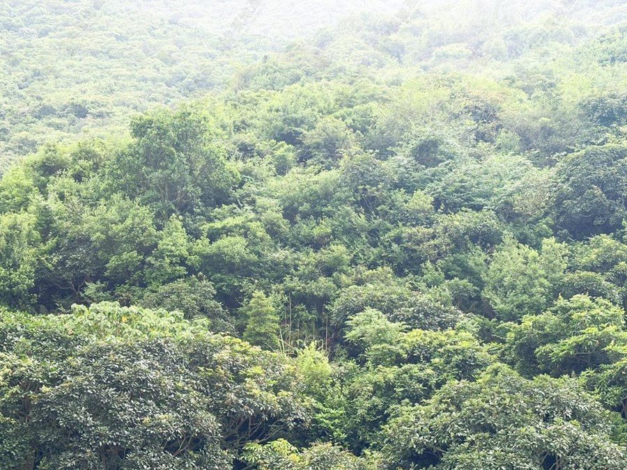 愉景湾 5期颐峰, 相片
