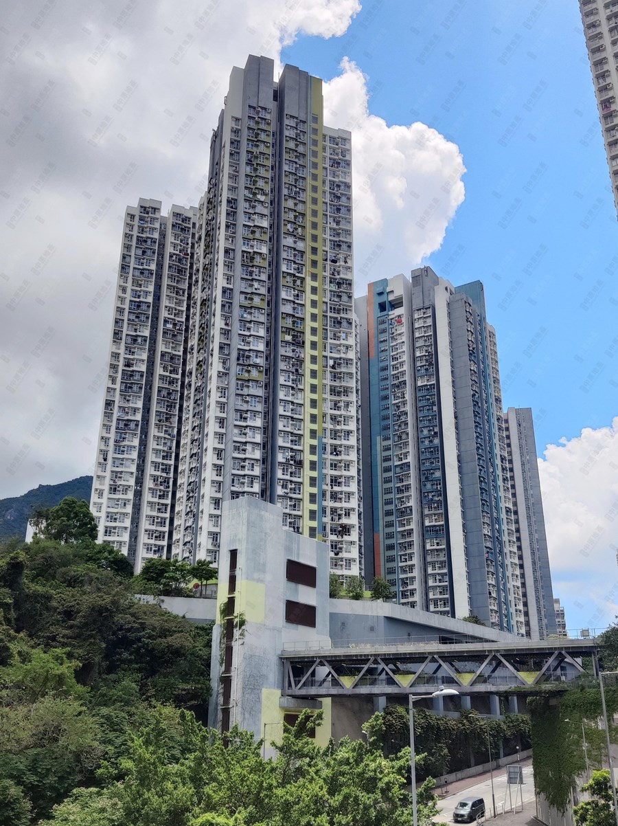彩興苑, 相片
