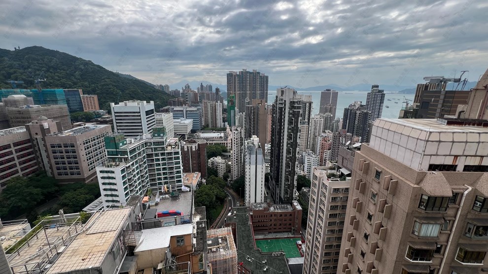 窗外景觀-開揚