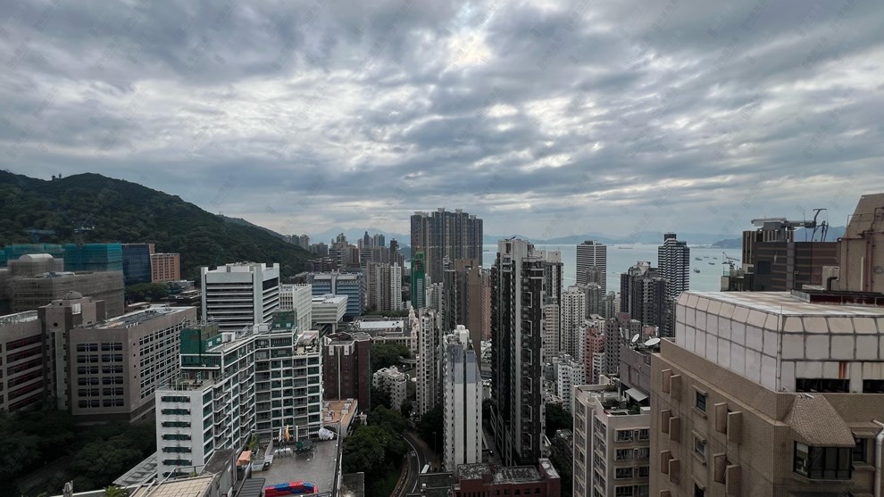 窗外景觀-由飯廳
