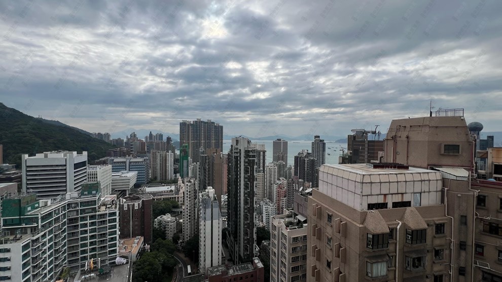 窗外景觀-由飯廳