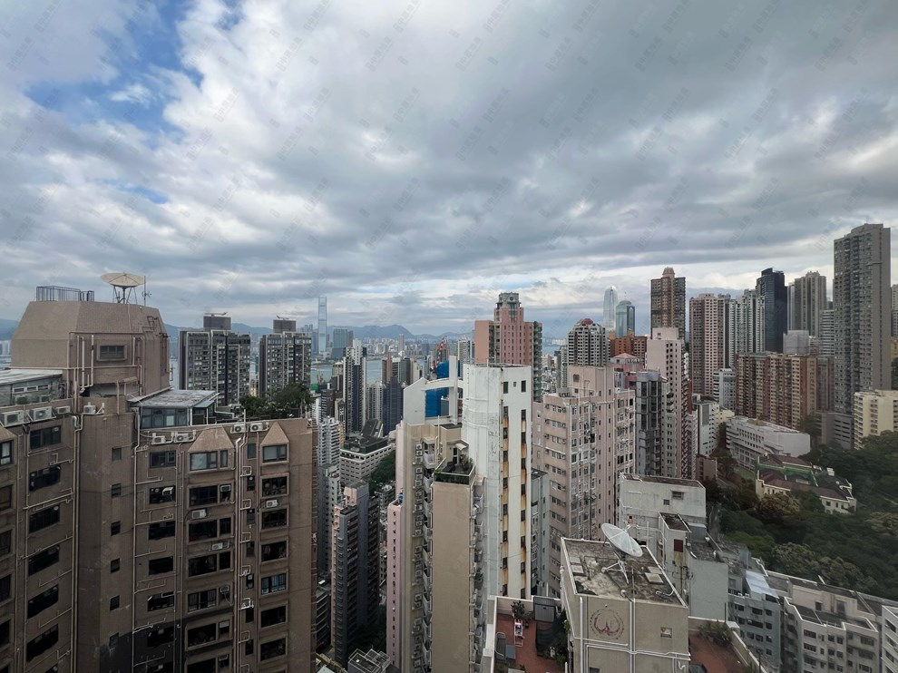 窗外景觀-由客廳