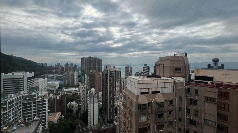 窗外景觀-由飯廳