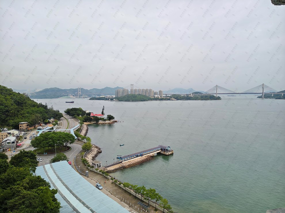 窗外景观-由客厅